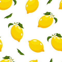Vector lemon pattern with whole lemon fruits, leaves and blossoming flowers isolated on white background.	