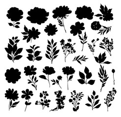 Vector plants set silhouette, Set of flower and leaves silhouettes. summer graphic element, Hand drawn floral design elements, Different Flower and Grass Illustrations. 