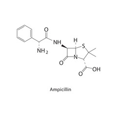 Ampicillin skeletal structure.Beta-lactam antibiotic compound schematic illustration. Simple diagram, chemical formula.