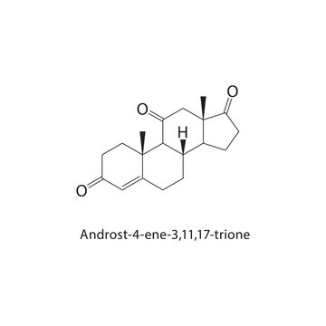 Androst-4-ene-3,11,17-trione skeletal structure.Androstene steroid compound schematic illustration. Simple diagram, chemical formula.
