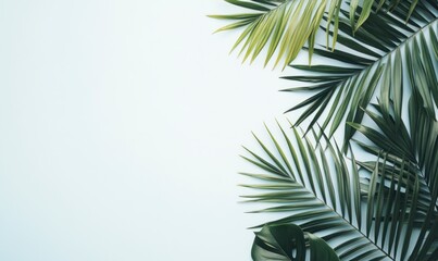 Summer background with palm leaves and sandy beach, blue sky, banner for vacation travel poster or template design. Copy space