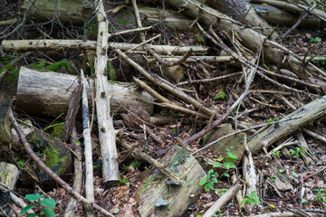 A pile of branches in the middle of the forest. Concept of environmental problems