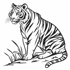 tiger on a white background