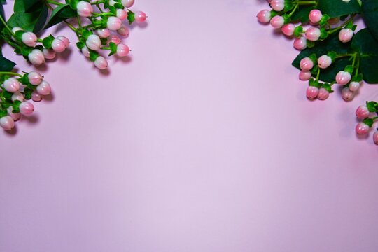 Romantic soft pink background with bolules