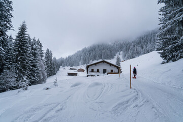 Naklejka premium Hiking in the mountains and forest. Alps. Austria in winter