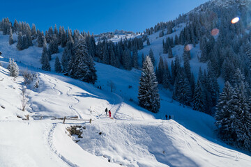 Hiking in the mountains and forest. Alps. Austria in winter