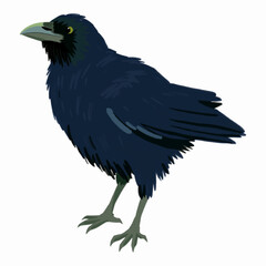 Hand Drawn Vector Illustration of a Majestic Crow with Dark Feathers
