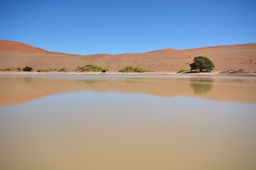 Wasser im Sossusvlei