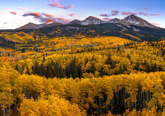 Fall scene with mountains and peak fall colors in Colorado