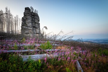 harz mountains in thuringia, germany
