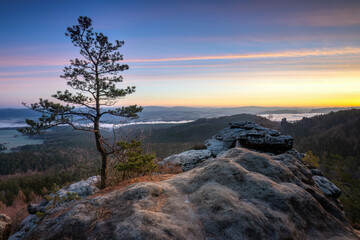 limestone mountains in the saxon switzerland in germany