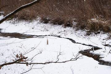 River in winter