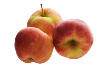 Apfel,  Malus domestica,  Deljonca