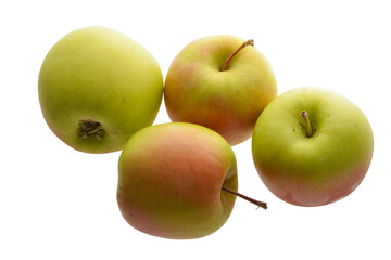 Apfel,  Malus domestica,  Delbar