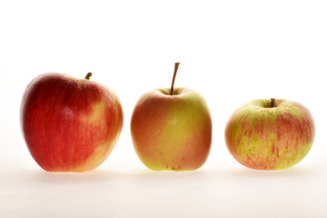 Apfel,  Malus domestica, Delbar,Deljonca,Discovery