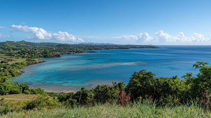 Fototapeta premium Caribbean Bay View from Coastal Hilltop