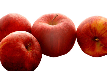 Apfel,  Malus domestica, Gala