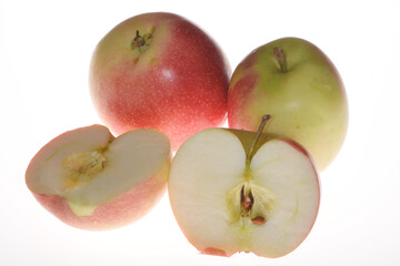 Apfel,  Malus domestica,  Cox Orange