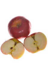 Apfel,  Malus domestica, Peasgoods Sondergleichen