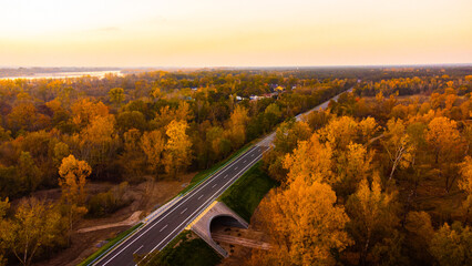 autum in poland  © Mariusz