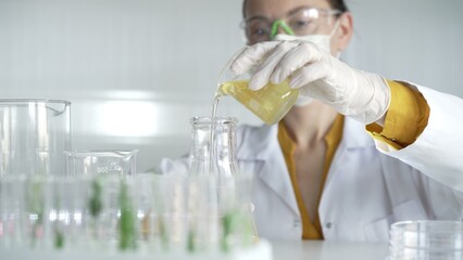 Woman scientist wearing a lab coat, white gloves, and a mask is pouring a yellow oily liquid from a...