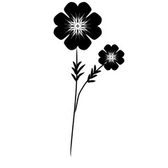 black and white flower