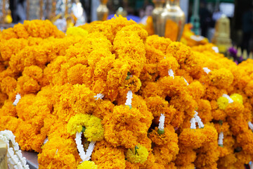 Marigold flowers for worship, Erawan shrine Bangkok city, Thailand