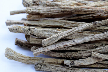 Dang Shen or Codonopsis pilosula, Chinese herbal medicine