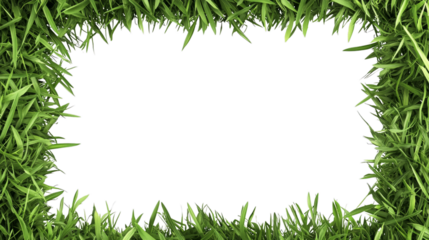 Square grass frame with lush green blades isolated on transparent background for eco-friendly nature-themed designs and landscape projects