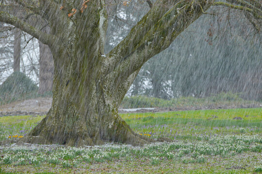 Wetter, Witterung, Graupelschauer