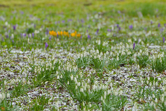 Wetter, Witterung, Graupel