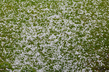 Gewitter, Regen, Hagel