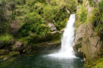 Wainui Falls – Majestic Waterfall in New Zealand’s Lush Wilderness