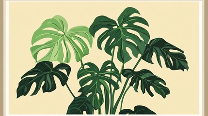 Botanical Illustration of Elegant Monstera Adansonii Plant