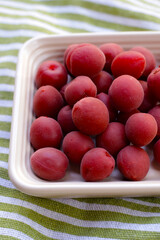 Traditional Japanese sour plums, red plum