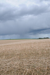 Feldlandschaft, Landschaft,  Frühjahr