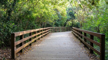Empty Wooden Footbridge Path Through Lush Green Forest