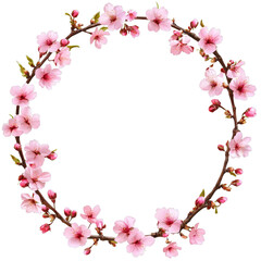 Fototapeta premium Beautiful round sakura blossom frame with delicate pink flowers isolated on transparent background for decoration