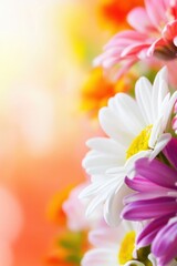 Fototapeta premium Beautiful background template made of Spring flowers.