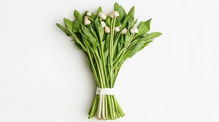 Obraz premium fresh bear's garlic bundle, flat white background, 16:9