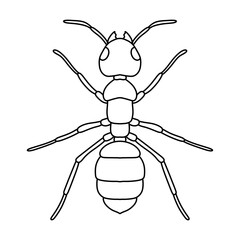 ant outline icon vector illustration isolated on white background.