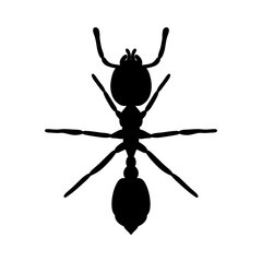 silhouette of an ant vector illustration isolated on white background