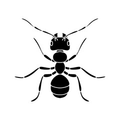 black and white ant icon illustration isolated on white background