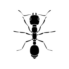 black and white ant icon illustration isolated on white background