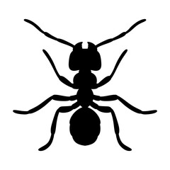 silhouette of an ant vector illustration isolated on white background