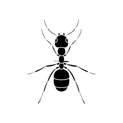 black and white ant icon illustration isolated on white background