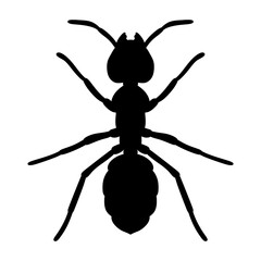 silhouette of an ant vector illustration isolated on white background