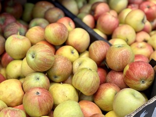 Box filled with fresh natural bio organic red yellow green apples placed on counter in local food...