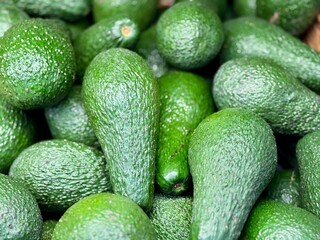 Large rifle green avocados harvested ready to eat are sold on supermarket shelves top view. Healthy eating. Close-up