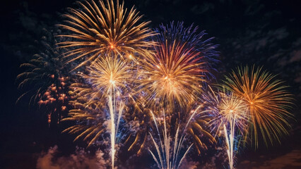 fireworks in the night sky